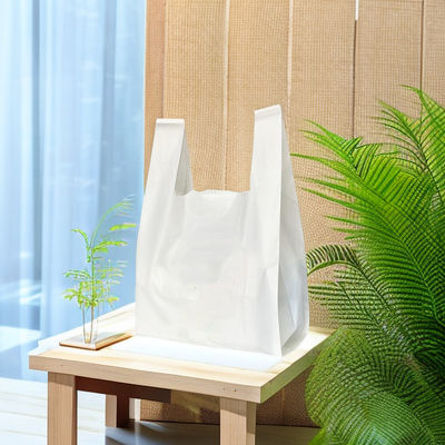 Promotion Fruit compostable bio-dégradable sac à main sur mesure