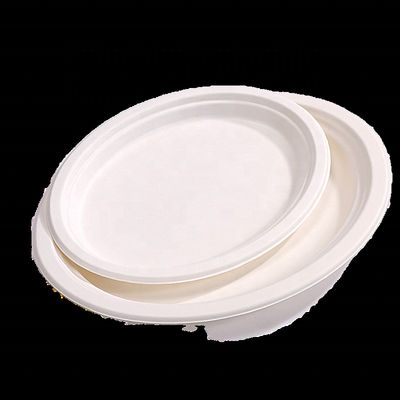 Coupe de smoothie compostable imprimée sur mesure Bagasse à la canne à sucre 20 oz