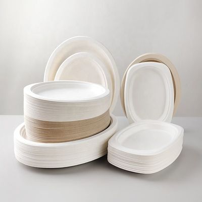 Coupe de smoothie compostable imprimée sur mesure Bagasse à la canne à sucre 20 oz