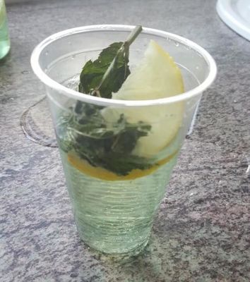 Coupe PLA biodégradable compostable personnalisée
