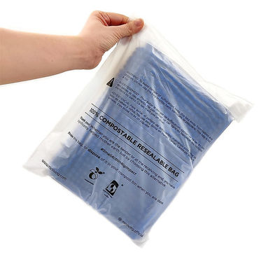 Sac de courrier compostable poly-imprimé sur mesure Noir Rose Bleu